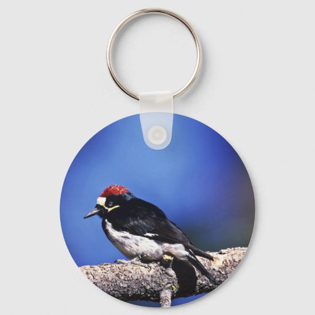 Acorn Woodpecker Keychain (Front)