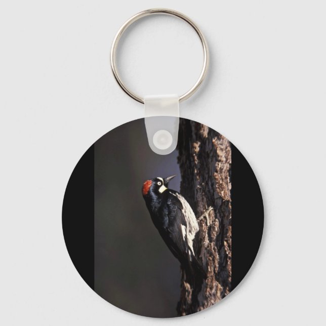 Acorn Woodpecker Keychain (Front)