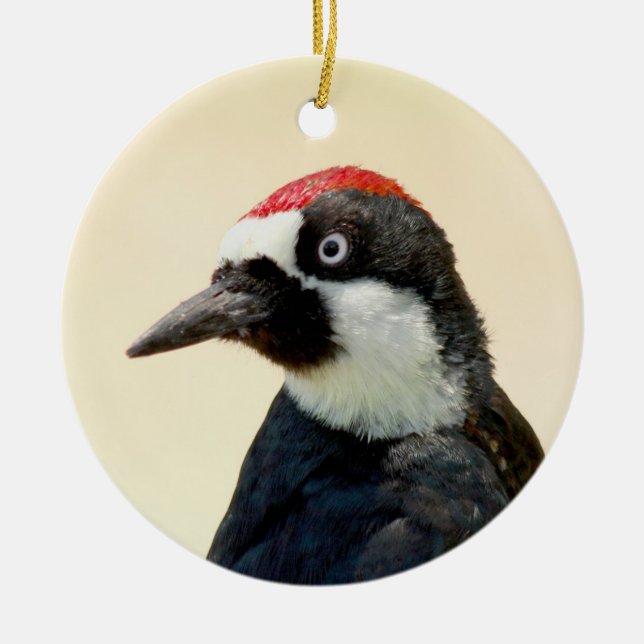 Acorn Woodpecker Portrait Ceramic Ornament (Front)