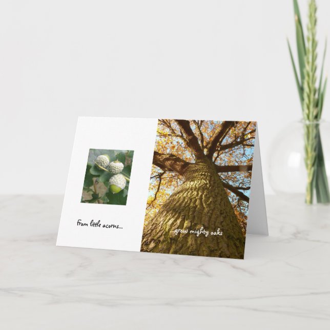 Acorns to Oaks Card (Front)