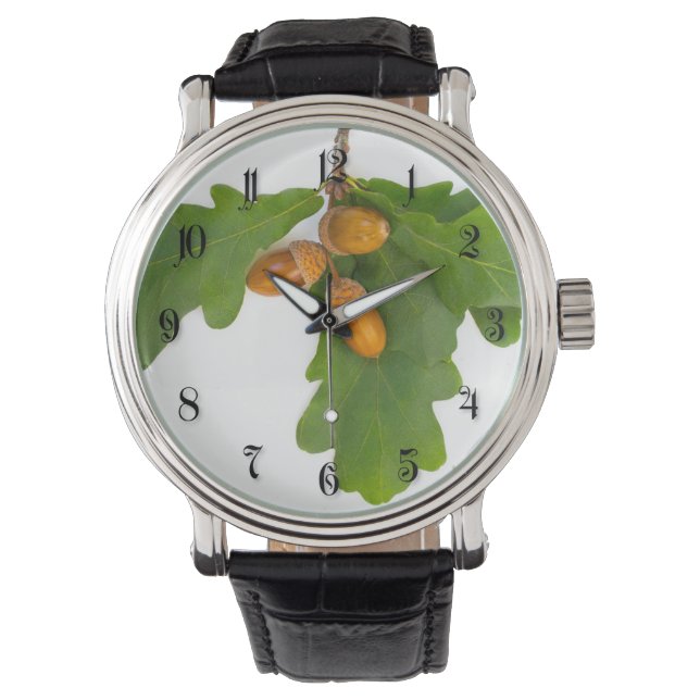 Acorns Watch (Front)