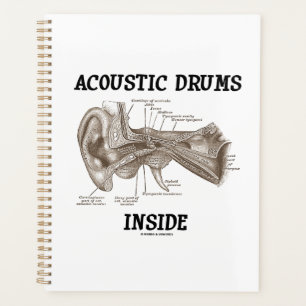 Acoustic Drums Inside Anatomy Of Human Ear Planner