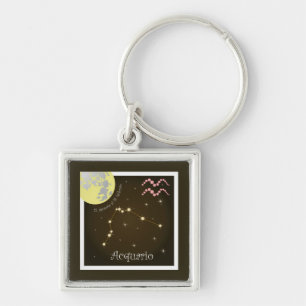 Acquario 21 gen. al 18 feb. Schlüsselanhänger Keychain