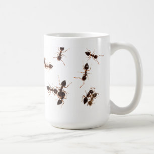 Acrobat Ants Mug
