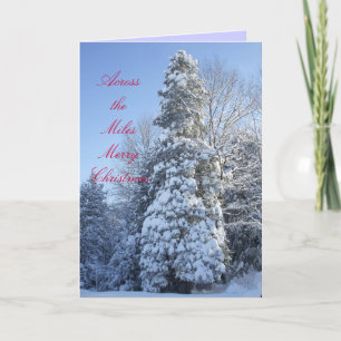 Across the Miles-Snow Covered Trees Holiday Card
