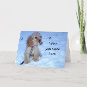 ACROSS THE MILES-SPANIEL SAYS MERRY CHRISTMAS HOLIDAY CARD