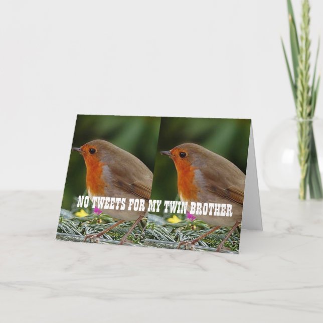 ACROSS THE MILES TO *TWIN BROTHER* BIRTHDAY CARD (Front)