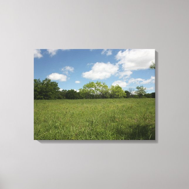 Across the Open Field: Wide Angle View Canvas Print (Front)