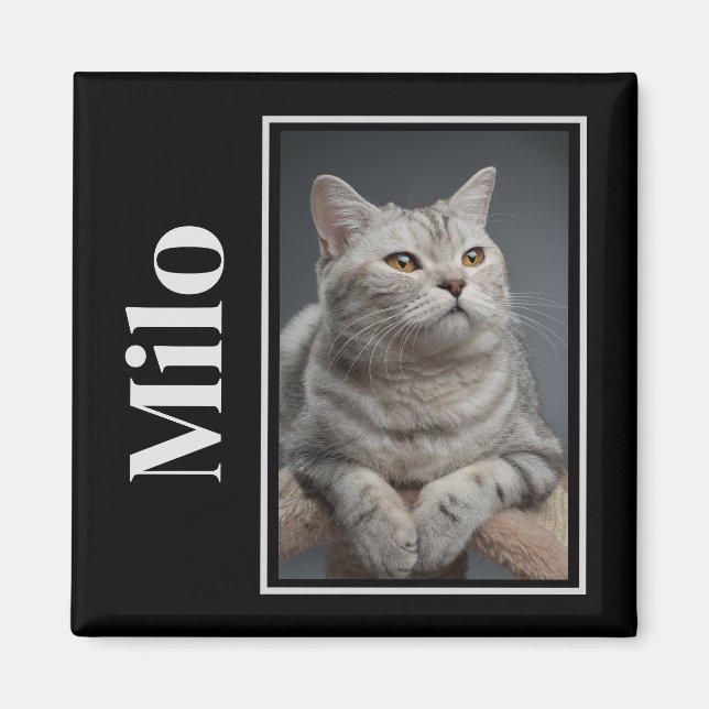 Across The Rainbow Bridge Silver Pet Cat Memorial Magnet (Front)