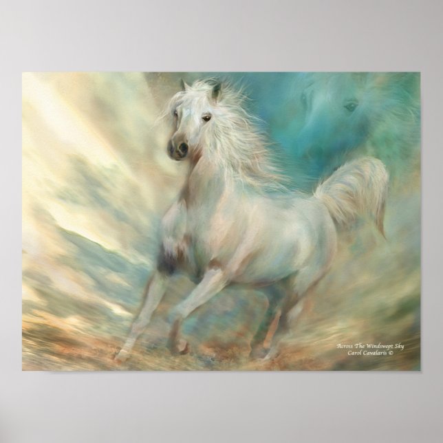 Across The Windswept Sky Art Poster/Print Poster (Front)