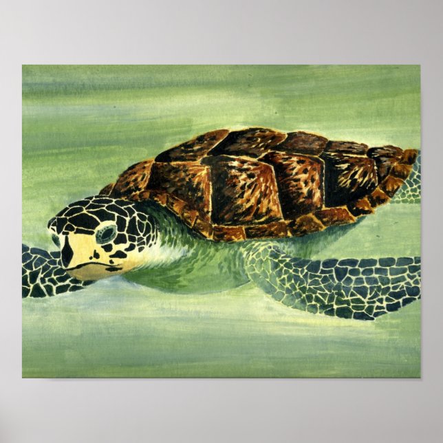 acrylic seaturtle poster (Front)