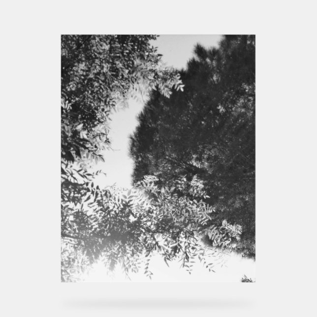 Acrylic Sign  (Front)