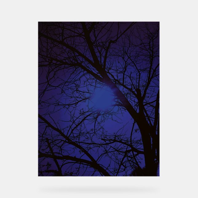 Acrylic Sign ART  DESIGN STYLE  (Front)