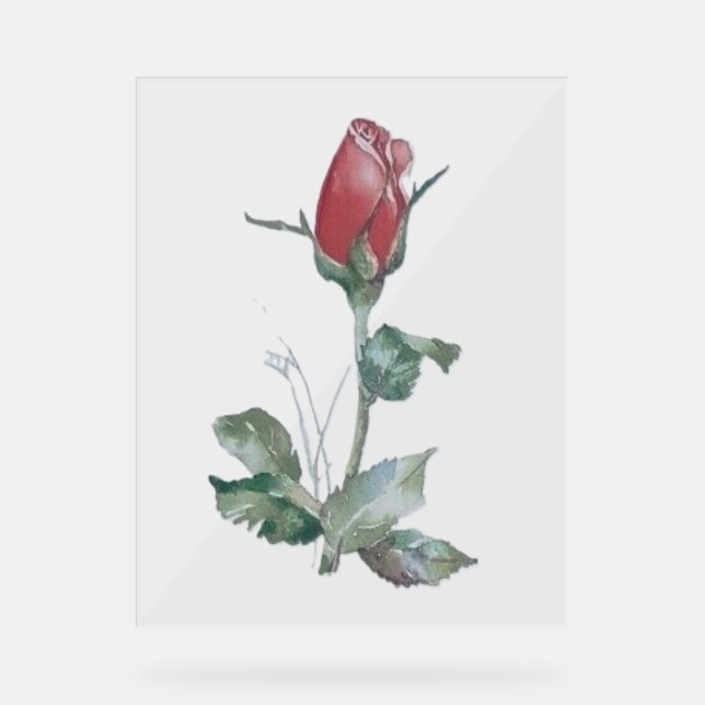 Acrylic Sign ROSE BUD DESIGN STYLE  (Front)