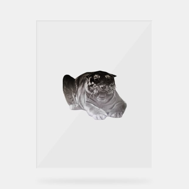 Acrylic Sign TIGER  DESIGN STYLE  (Front)