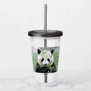 Acrylic tumbler. Photo giant panda , panda geant. Tumbler