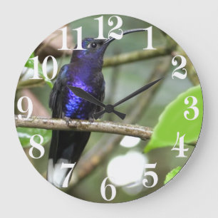 Acrylic Wall Clock