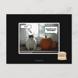 Act cool postcard
