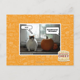 Act cool postcard
