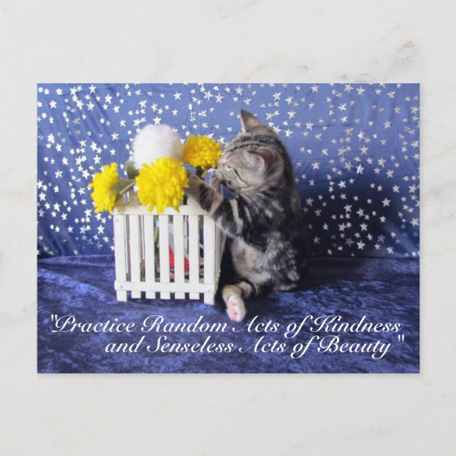 Actes aléatoires de gentillesse Carte postale - Li (Devant)