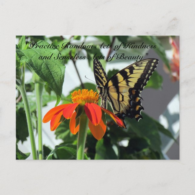 Actes aléatoires de gentillesse Carte postale - Pa (Devant)