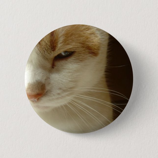 acting cat 2 inch round button (Front)