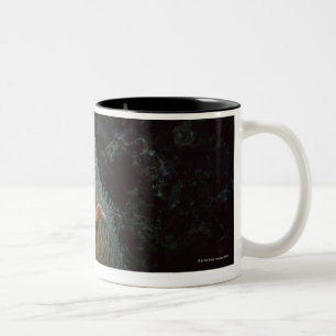 Actinia Two-Tone Coffee Mug