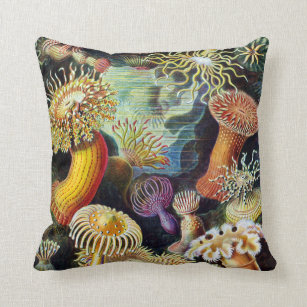 Ernst Haeckel Pillows Cushions Zazzle Ca