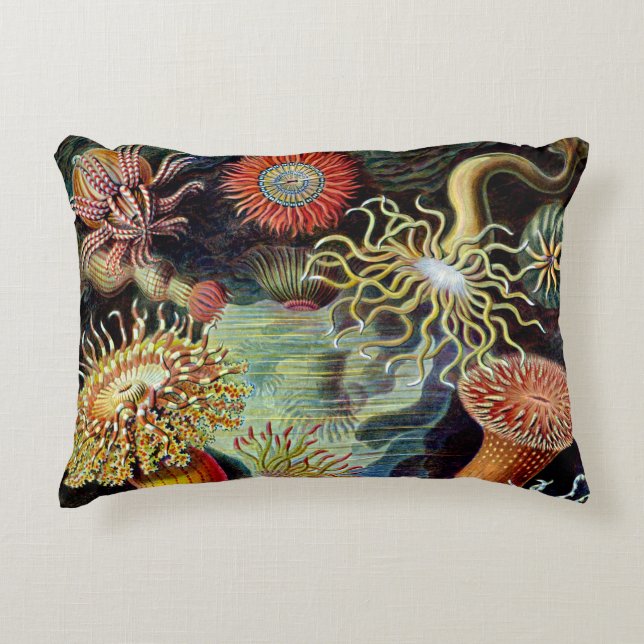 Actiniae par Ernst Haeckel Coussin d'accent (Devant)