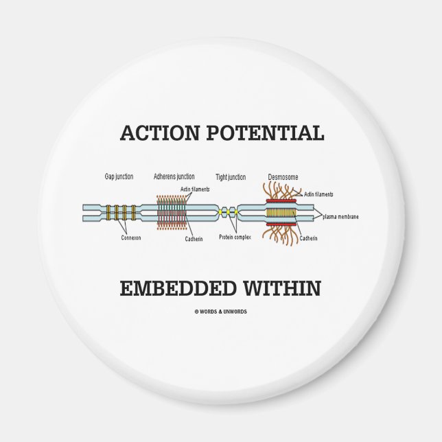 Action Potential Embedded Within (Cell Junctions) Magnet (Front)