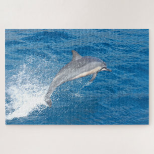 Action shot of dolphin jumping in Hawaii Jigsaw Puzzle