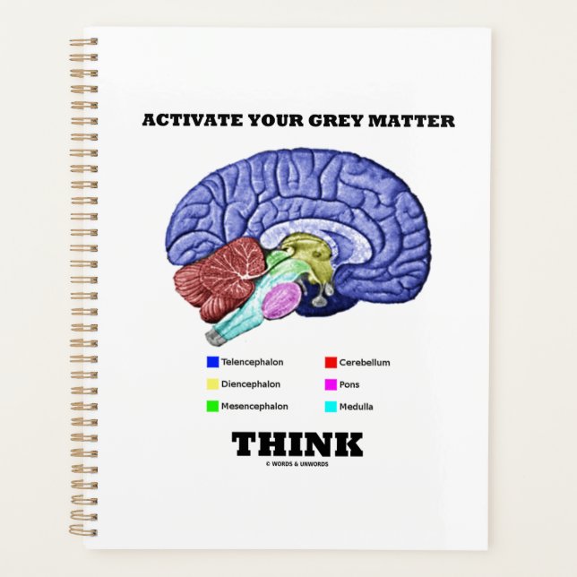 Activate Your Gray Matter Think Anatomical Brain Planner (Front)