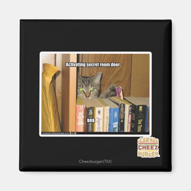 Activating Secret Room Door Magnet (Front)