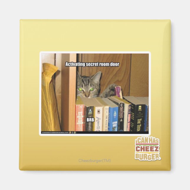Activating Secret Room Door Magnet (Front)
