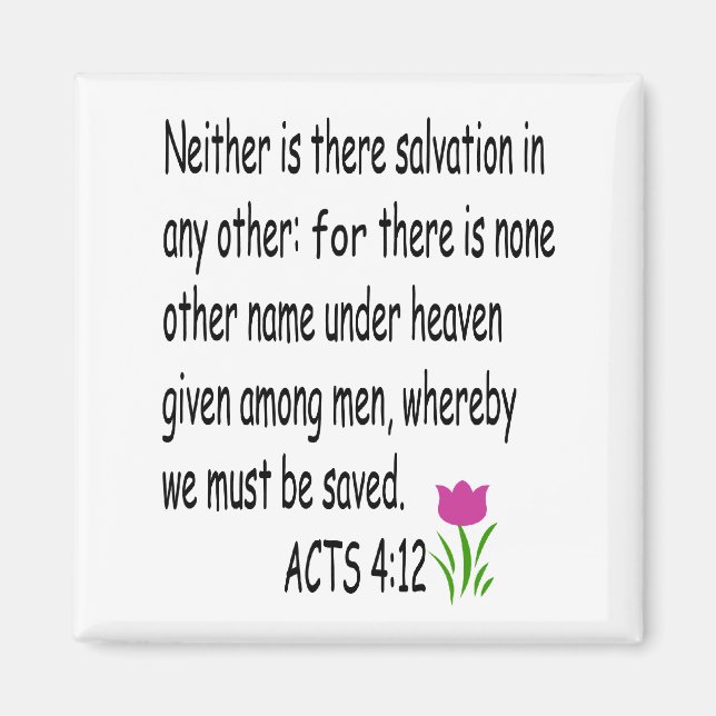 ACTS   4:12 magnet (Front)