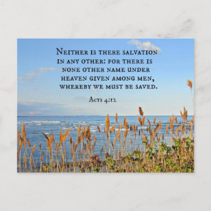 Acts 4:12 Neither is there salvation in any other. Postcard