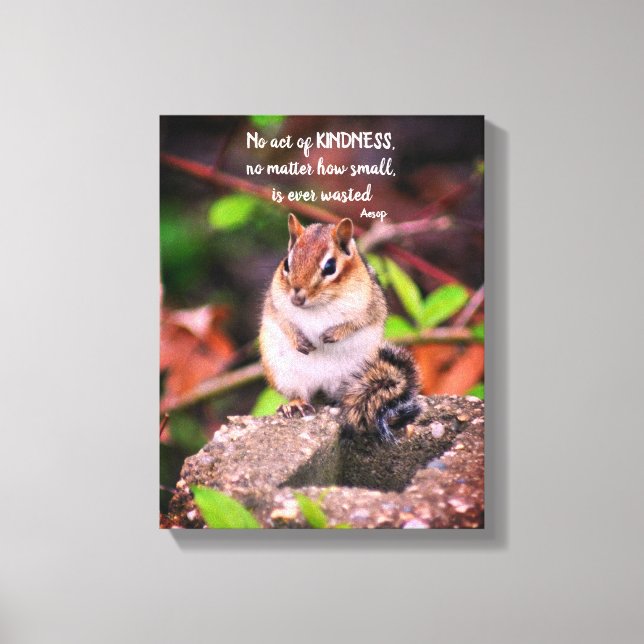 Acts Of Kindness Inspirational Quote Chipmunk Canvas Print (Front)