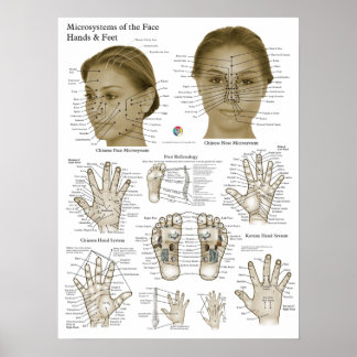 Acupressure Points Face Hand Feet Poster