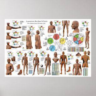 Acupuncture Meridian Point Locations Affiche