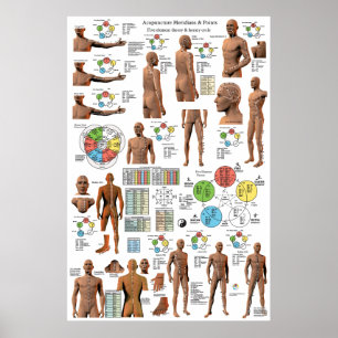 Acupuncture Meridian Points and Pathways Poster