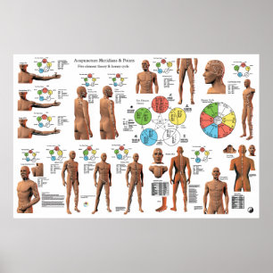 Acupuncture Meridian Points and Pathways Poster
