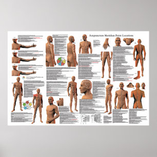 Acupuncture Meridian Poster des emplacements de po