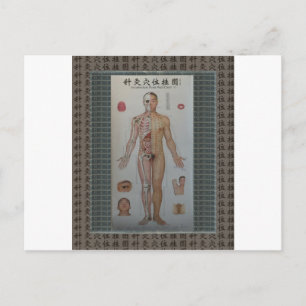 Acupuncture points full body front wall art postcard