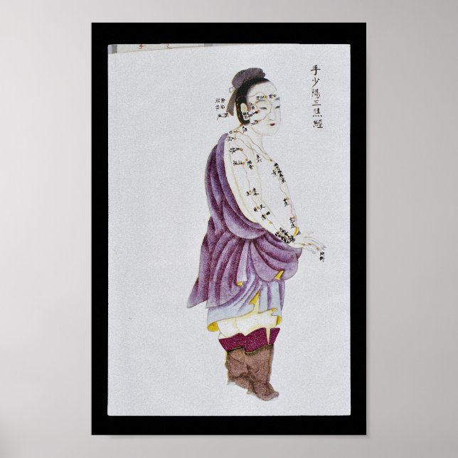 Acupuncture Triple Burner Meridian Hand Shaoyang Poster (Front)