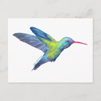 AD hummingbird Postcard