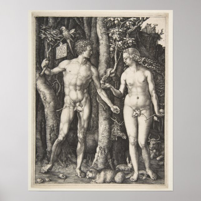 Adam and Eve, 1504 Poster (Front)