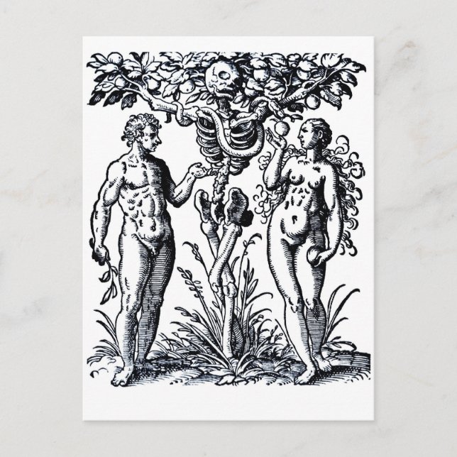 Adam et Eve et l'arbre du savoir Carte postale (Devant)