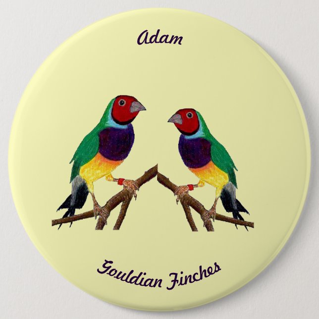 ADAM ~ Gouldian Finch ~ Personalized ~ 6 Inch Round Button (Front)
