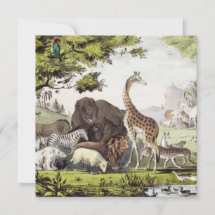 Adam Names the Creatures