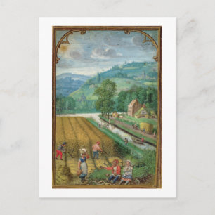 Add 18855 September: harvesting, ploughing and sow Postcard